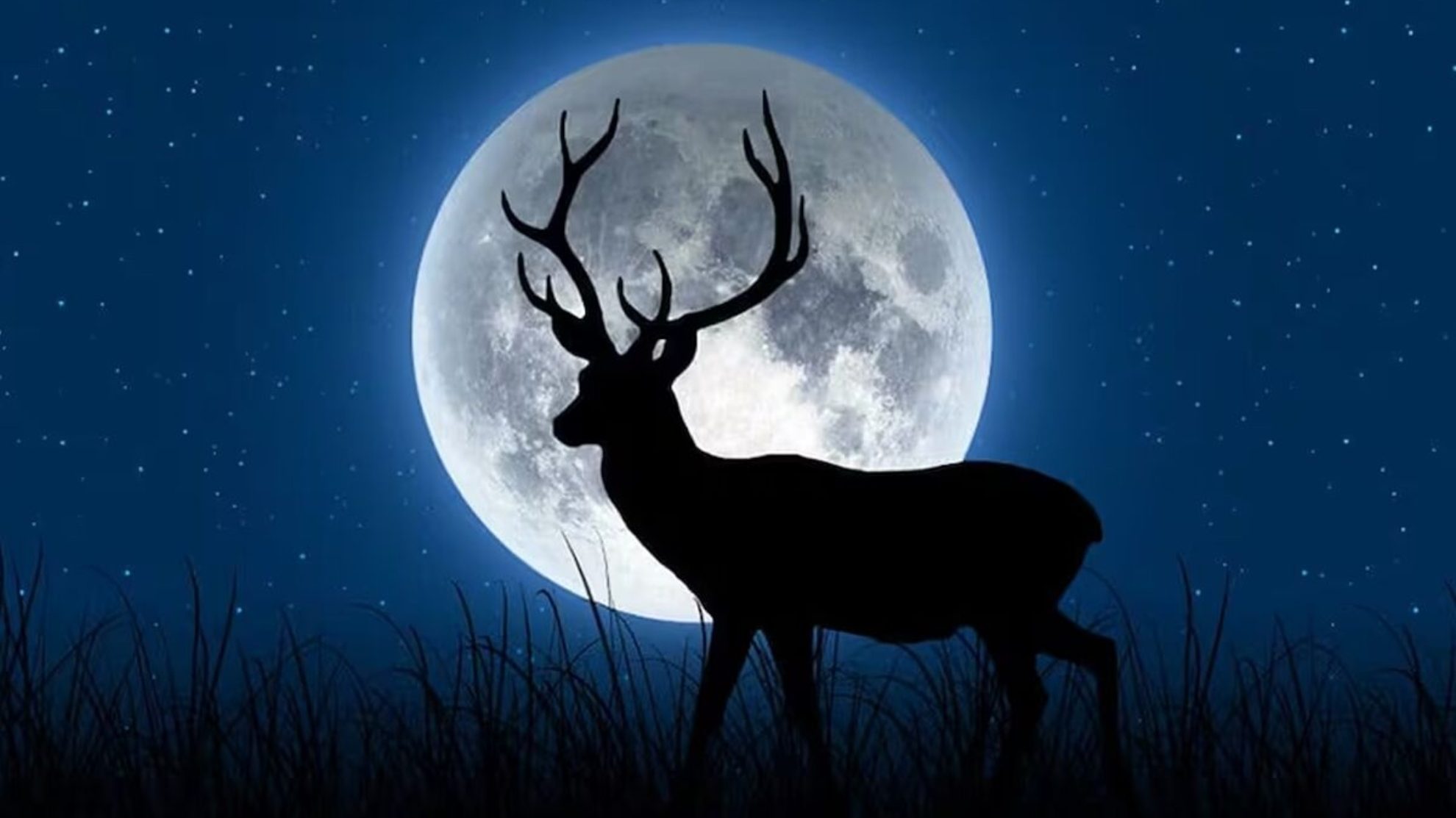 'Lua do Veado' ilumina o céu nesta quinta; saiba como observar