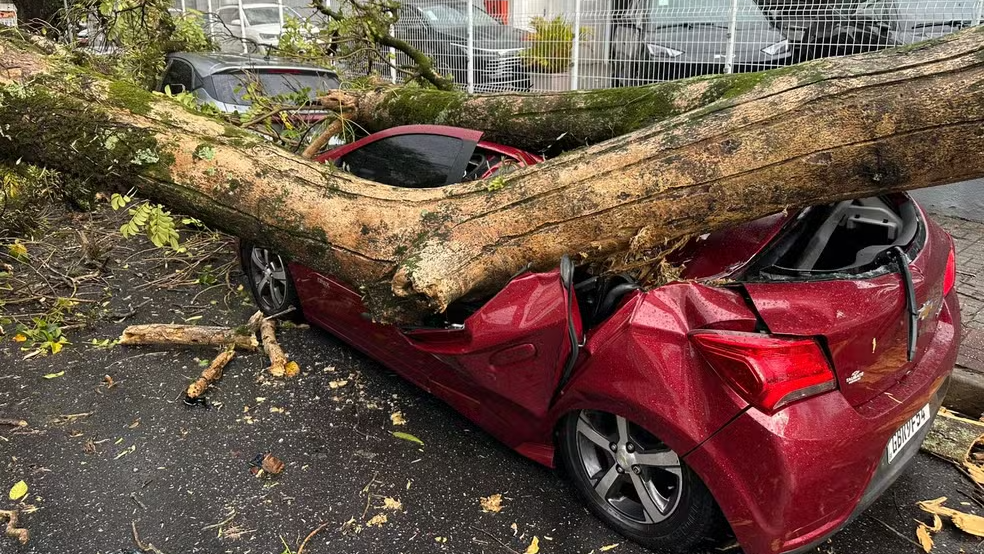 Tempestade com ventos de 109 km/h derruba 38 árvores e causa estragos em SJC