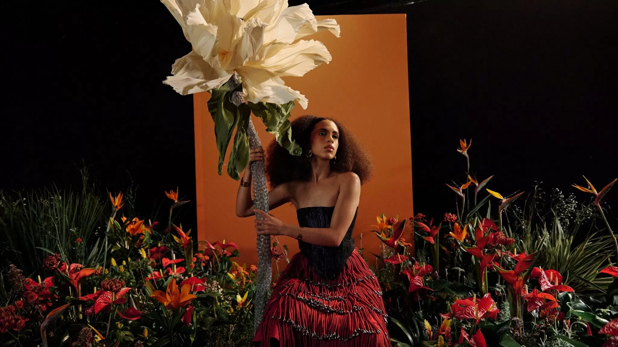 Mês da Música em São José segue com shows de Bruna Black, rodas de jongo e rock nacional