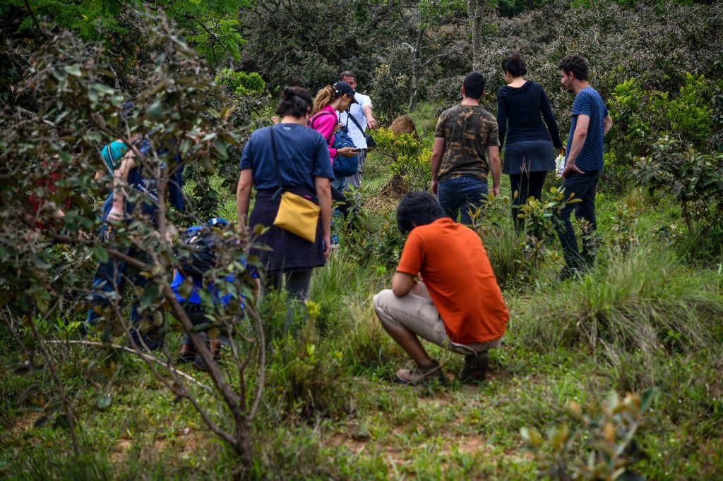 Cerrado paulista sjc