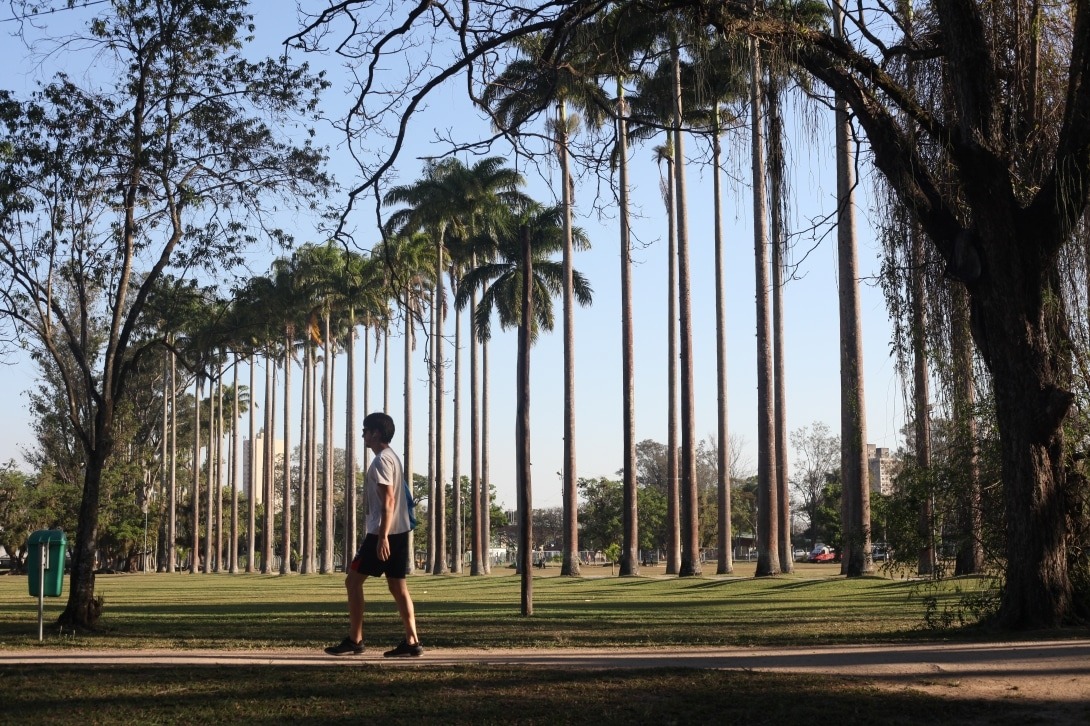 Confira o que abre e fecha nas cidades do Vale e Litoral Norte neste final de ano