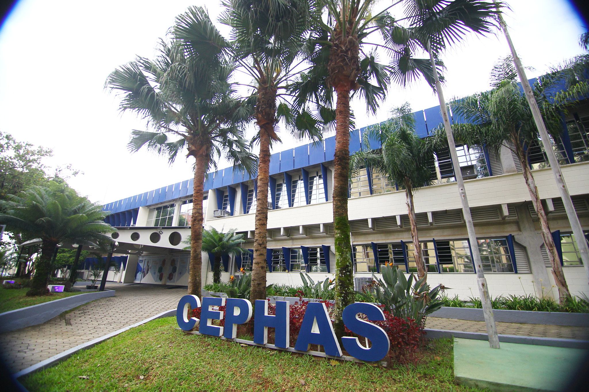Fundhas abre 1.240 vagas para cursos de educação a distância