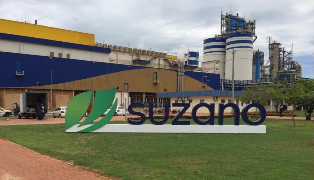 A empresa Suzano é referência global na fabricação de bioprodutos desenvolvidos a partir do cultivo de eucalipto