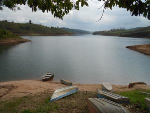 Onça é avistada em represa de Santa Branca