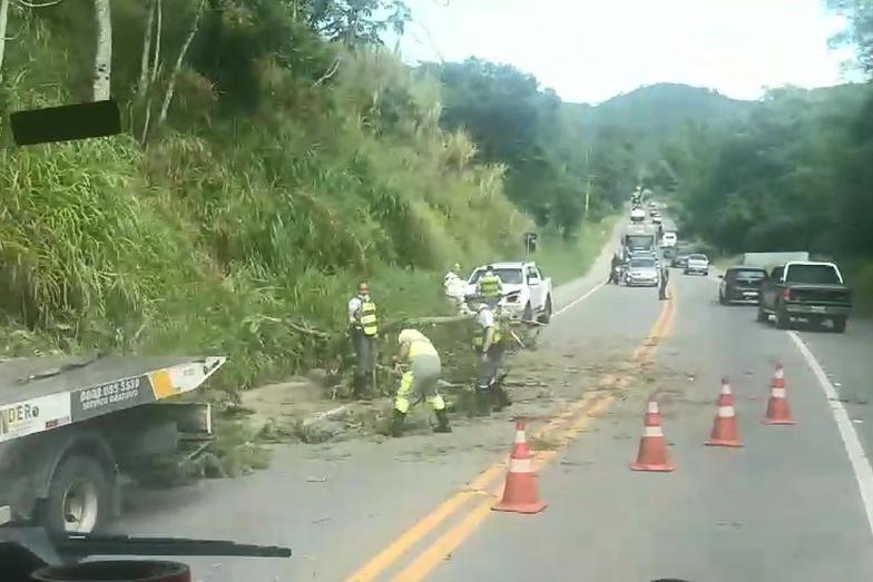 Árvore cai e atinge carro na Oswaldo Cruz em Taubaté