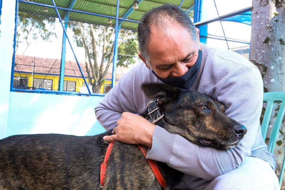 São José dos Campos inicia castrações pelo programa Meu Pet Feliz