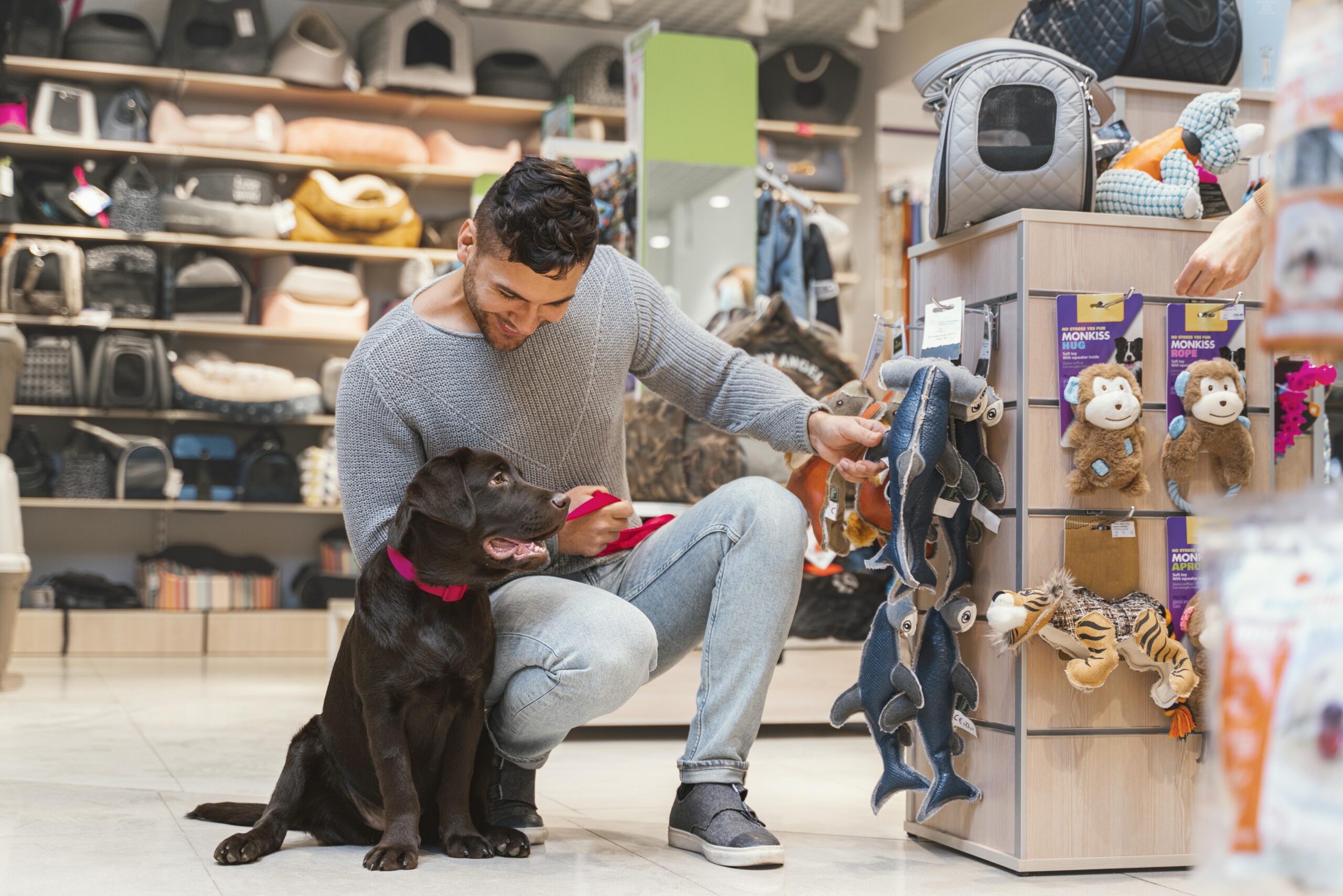 Venda não poderá ser feita em pet shops porque ambiente não é apropriado para os animais