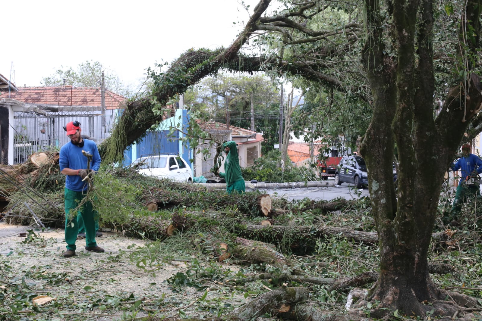 Equipe da Prefeitura de São José dos Campos em trabalho para liberação de rua que ficou bloqueada após árvores e grandes galhos tombarem. O dia está nublado e an foto aparecem três funcionários. Um deles está à esquerda, de boné vermelho, calça verde e camiseta azul e segurando um galho e uma ferramenta. Outro, no meio da imagem, de calça e camiseta verde olhando para cima das árvores. E o último, à esquerda, também de calça verde e camiseta azul.