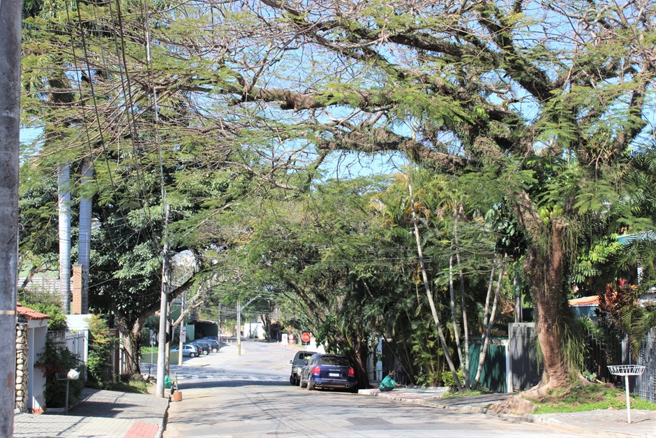 Prefeitura de São José realiza nessa semana a poda árvores no Jd Esplanada