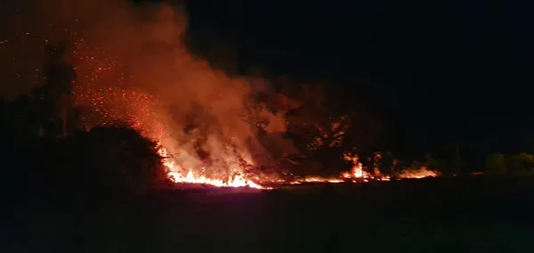 Incêndio em mata em Taubaté na noite desta quinta-feira (8).