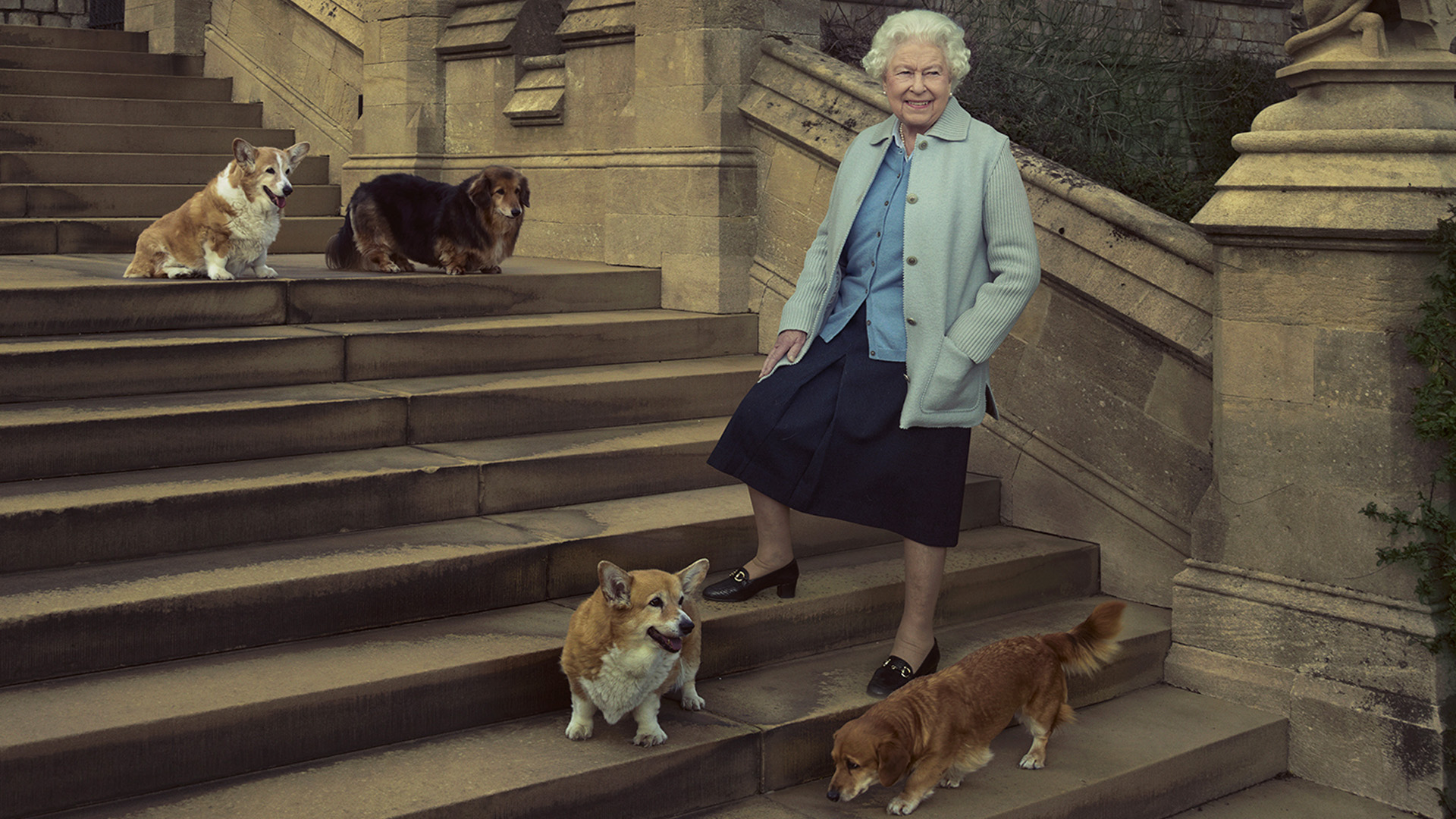 Rainha Elizabeth II nos primeiros degraus de escadaria posando com seus cães da raça corgi.
