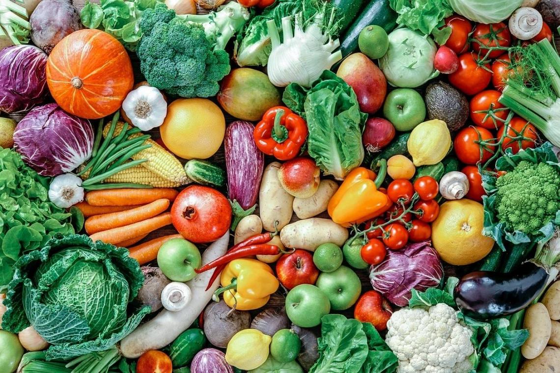 Diversos alimentos e verduras coloridas, ao lado um do outro, simulando o projeto de Taubaté Desperdício Zero, do selo Estabelecimento contra o desperdício.