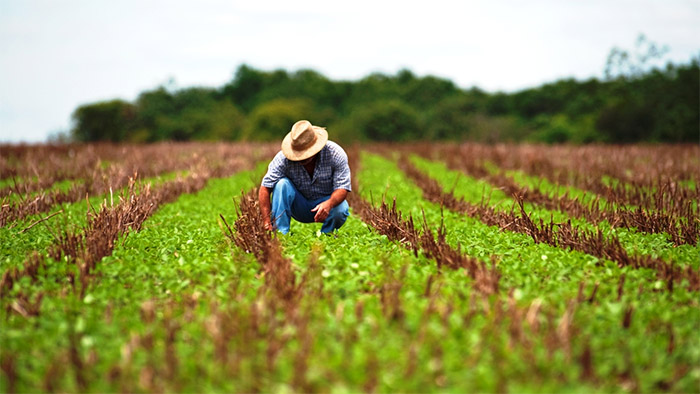 Produtores rural