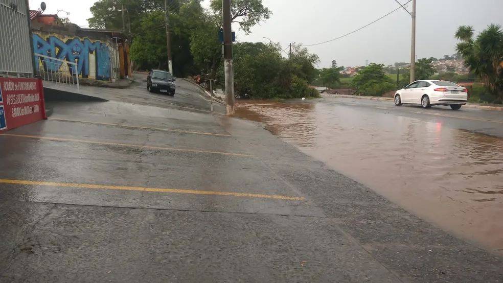 Ruas alagadas em Taubaté, com uma árvore caída e carros passando.