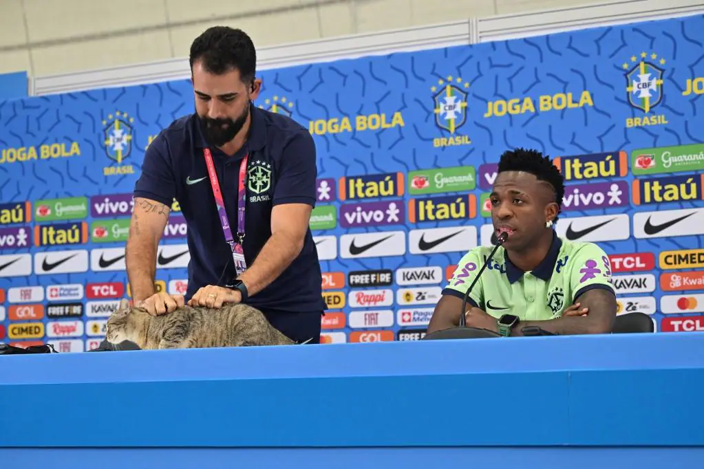 Gato na coletiva foi a grande atração desta quarta-feira (7) no treinamento da Seleção Brasileira