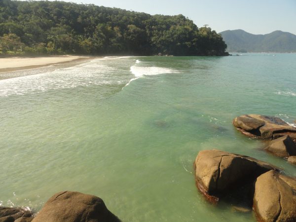 praia brava da fortaleza, uma das melhores praias desertas de ubatuba