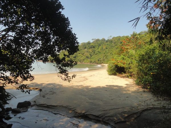 praia das costas em ubatuba