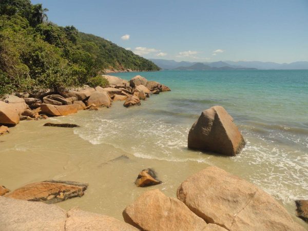 praia das palmas em ubatuba