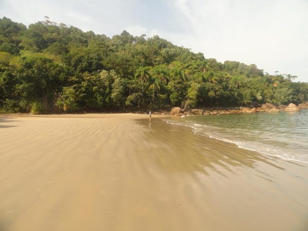 praia do bonete em ubatuba