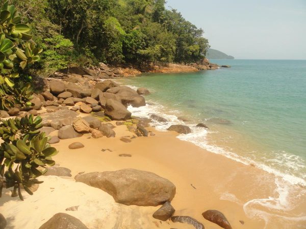 praia do cedro em ubatuba