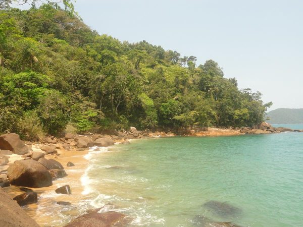 praia do cedro em ubatuba