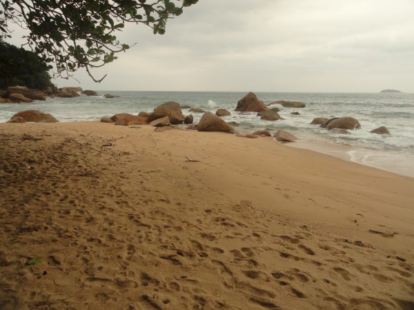 praia do godoi em ubatuba