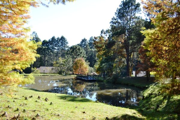 imagem do Horto Florestal em Campos do Jordão. É um parque com muitas árvores e tem um lado na imagem; foto ilustra a matéria parques para curtir em Campos do Jordão