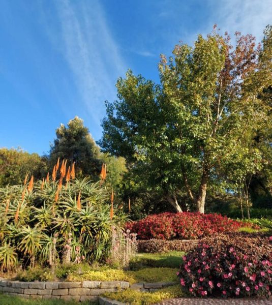 iamgem do Parque Amantikir, em Campos do Jordão, com flores, árvores e grama, bem florido; foto ilustra matéria de parques para curtir em Campos do Jordão.