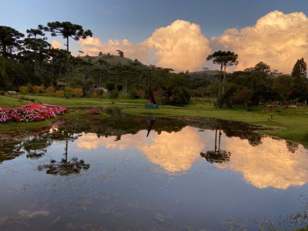 imagem do Parque da Lagoinha, com árvores e um lago no centro; foto ilustra a matéria de parques para curtir em Campos do Jordão