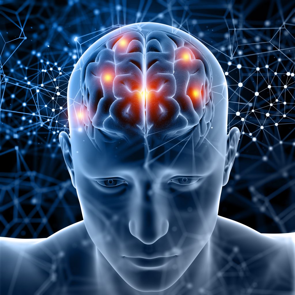 imagem computadorizada de um cérebro; foto ilustra matéria sobre uma pesquisa que indica que dificuldades emocionais podem afetar memória
