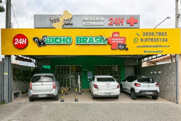 clínica Bicho Brasil; foto ilustra matéria sobre veterinário 24h em SJC.