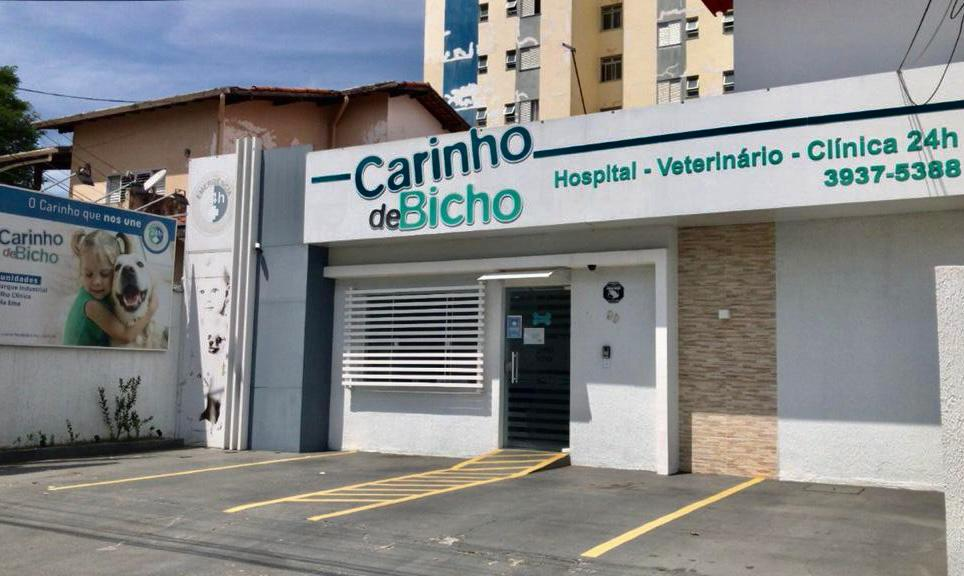 imagem de clínica veterinária 24h com várias unidades em SJC; foto ilustra matéria sobre veterinário 24h em SJC