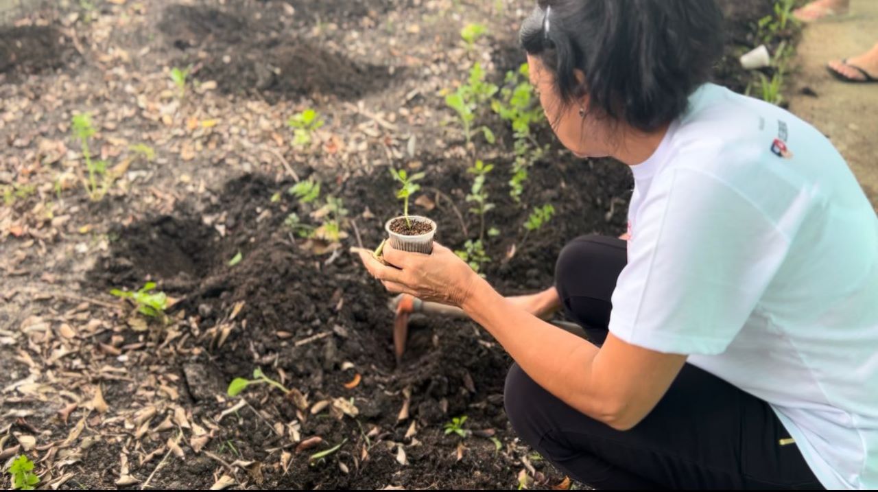 mulher agachada mexendo com a terra em horta