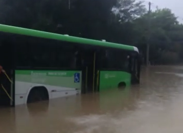 Ônibus verde é prejudicado devido aos alagamentos em SJC na tarde desta sexta-feira (10). Foto mostra árvores ao fundo e água ao redor do veículo.