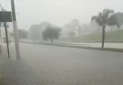 Chuvas em São José dos Campos causaram alagamentos; foto mostra uma rua alagada e árvores sendo impactadas pelos ventos.