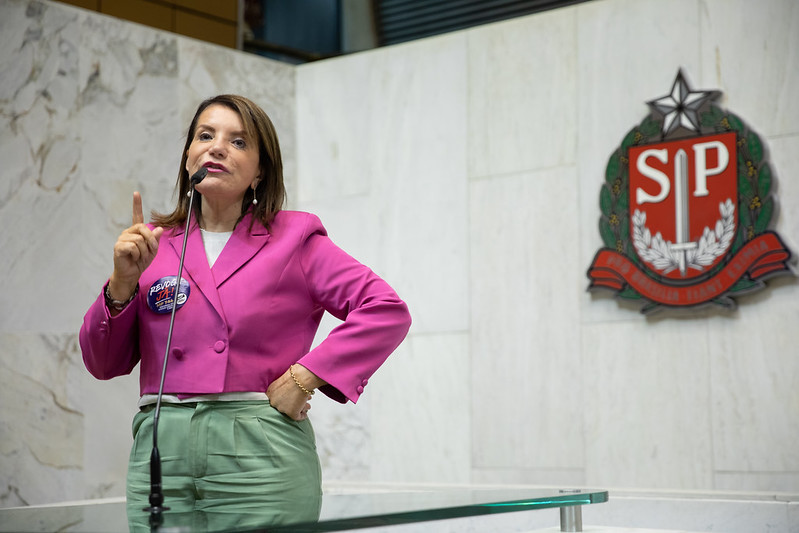 Deputada Professora Bebel, do PT, procuradora especial da mulher, trabalhará ao lado de deputadas do PL, PSDB e PSOL; na foto ela usa camisa rosa, calça verde e fala ao microfone, em frente a uma parede branca com o brasão da Alesp.