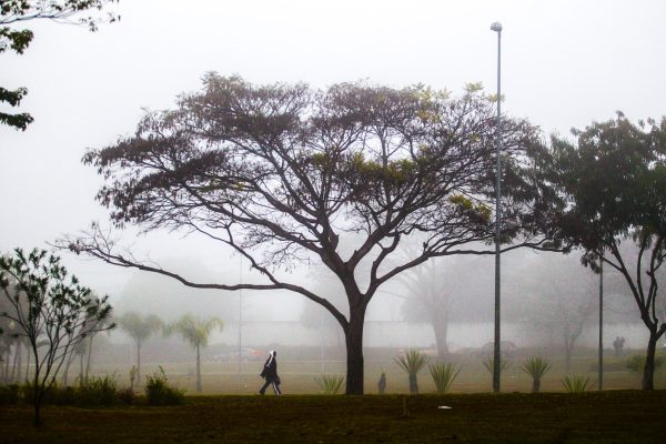 vista d parque em são josé dos campos durante manhã nublada e com névoa.