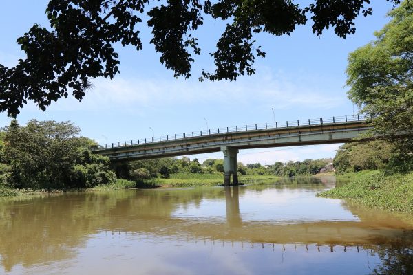 ponte em jacarei durante dia ensolarado