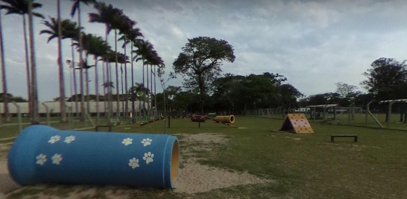 Espaço canino 4 Patas em sjc tem obstáculos para divertir o seu cachorrinho, como túneis e rampas na grama