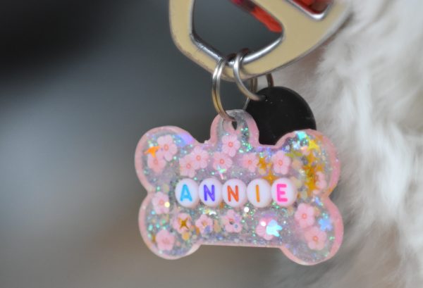 plaquinha de identificação escrita "annie" presa em coleira de cachorro