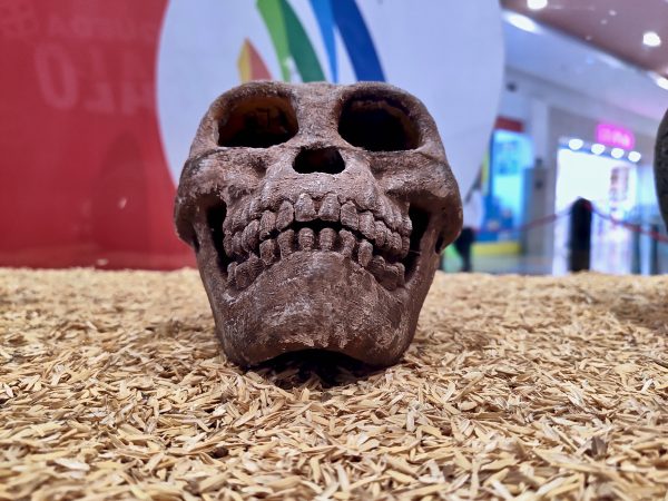“Viagem Ancestral – De onde viemos e para onde vamos” no Colinas Shopping a partir desta quinta-feira (27)