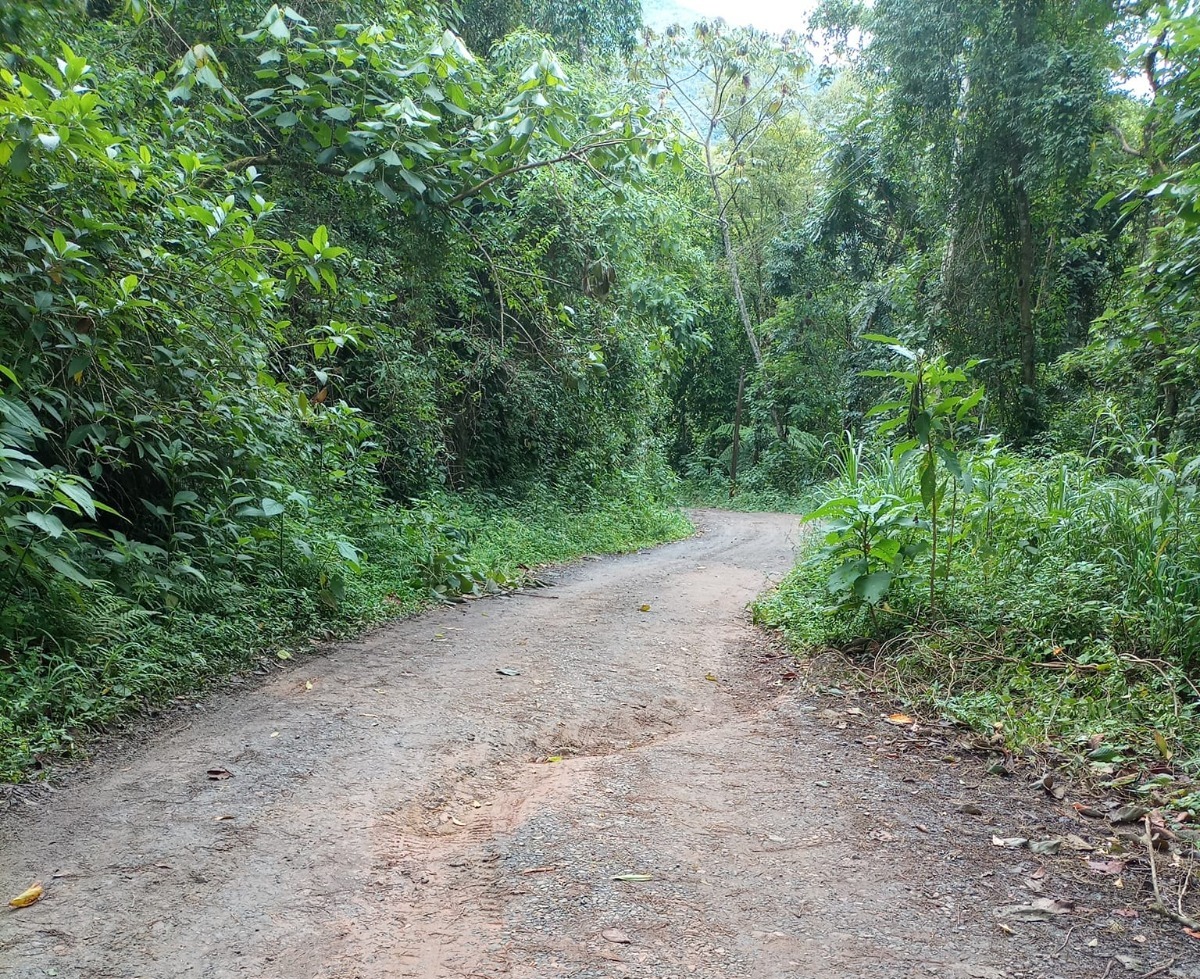 Estrada da Graminha, no bairro em que está localizada propriedade de interesse de empresa para mineração em São Francisco Xavier