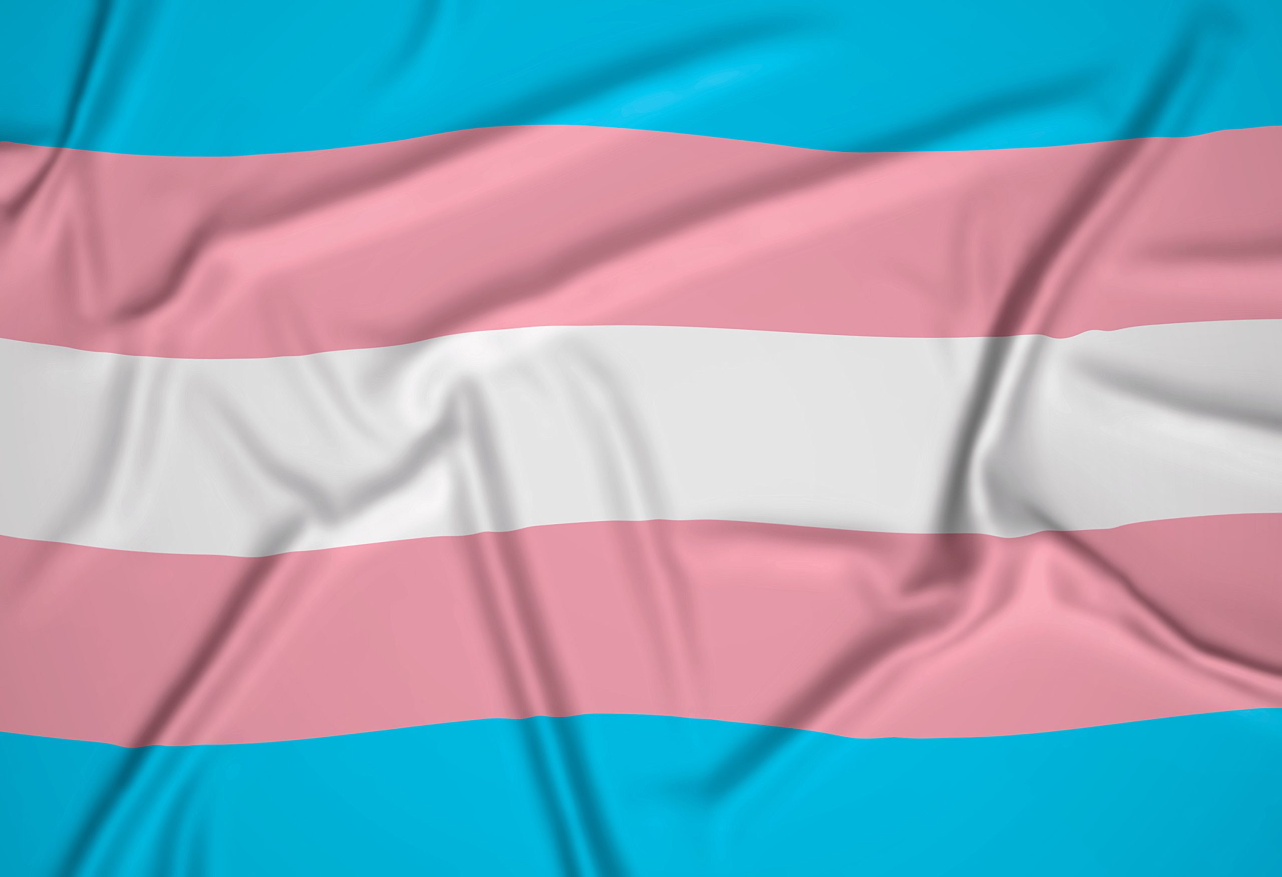 Bandeira Transgênero nas cores azul, rosa e branco; mudança de gênero foi solicitada por 116 pessoas em São José
