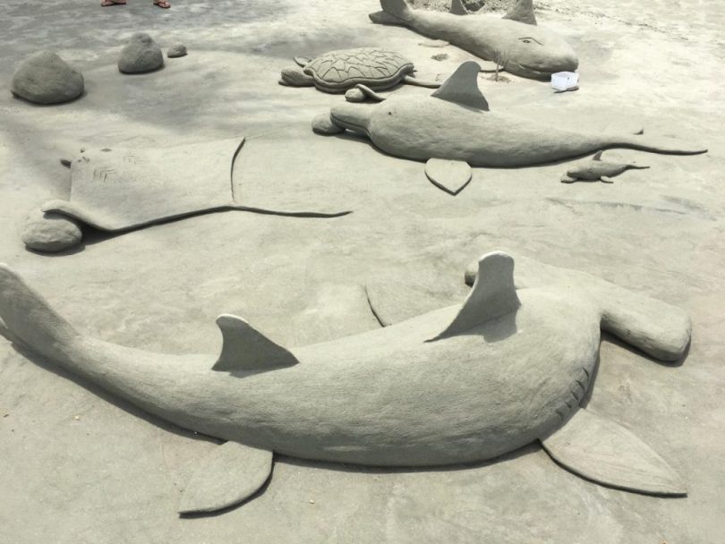 tubarão, arraia, golfinho e outros animais aquáticos esculpidos em areia em festival de esculturas de areia em ubatuba