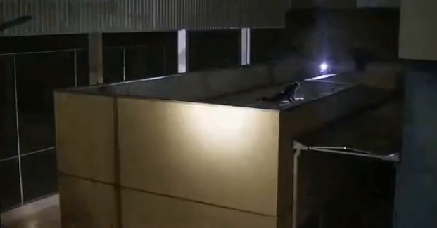 Homem preso pela GCM estava em cima do telhado da escola em Taubaté