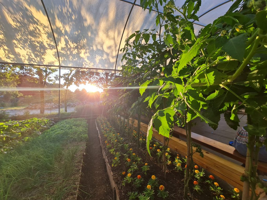 estufa com plantação no parque da terra em campos do jordão
