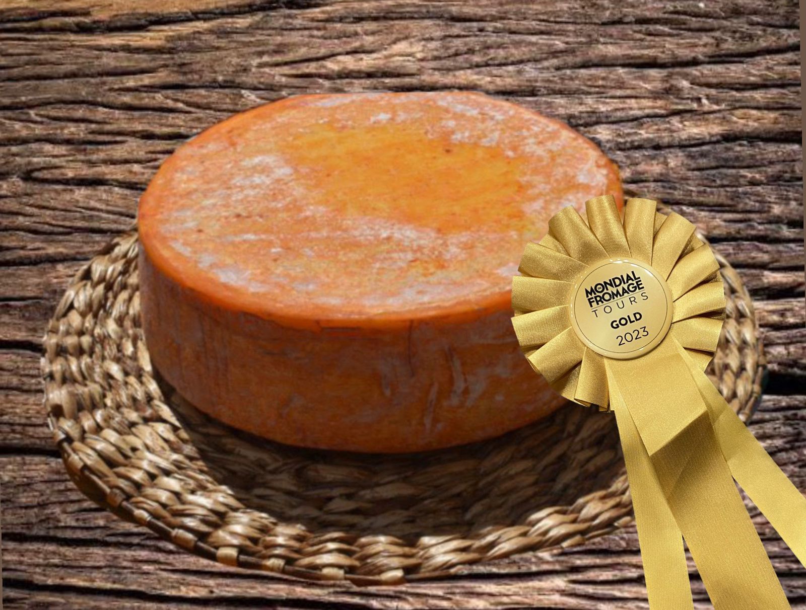 queijo valoro silvania. ele é redondo, grande e alaranjado e foi colocado sobre souplat de palha em uma mesa de madeira. ao lado dele tem uma fita que indica a medalha no concurso.