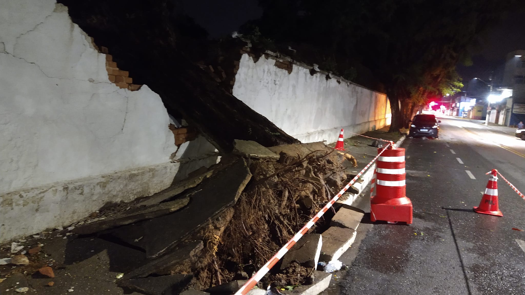 Árvore caída no muro do cemitério Avareí em Jacareí após chuva e forte vendaval