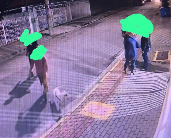 suspeitos de participarem de ataque com bull terrier gravados a caminho da casa de fox por câmeras de segurança; dois homens aparecem na rua, um deles guiando o cachorro