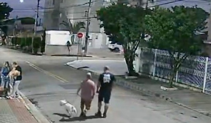 imagem de câmera de segurança que mostra bull terrier, tutor e seu amigo andando na rua